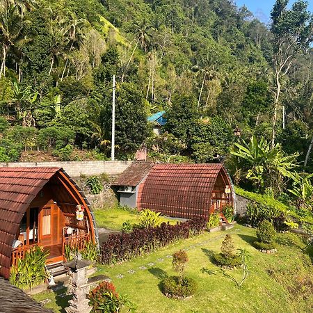 Villa Lumbung Ayu Sari & Spa Karangasem Екстериор снимка