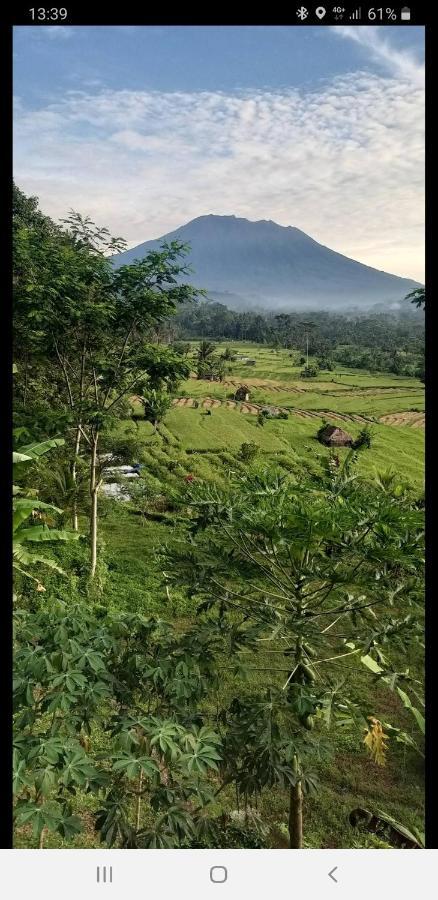 Villa Lumbung Ayu Sari & Spa Karangasem Екстериор снимка