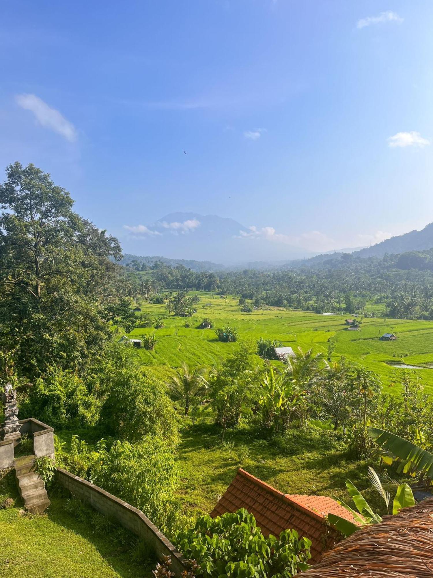 Villa Lumbung Ayu Sari & Spa Karangasem Екстериор снимка